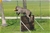 ipo3 FURFANTE RIPRODUTTORE SELEZIONATO ENCI - Triola Cane Corso